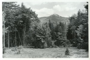 Mt. Chocorua from clearing