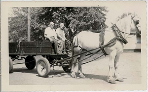 Grampy - horse and wagon