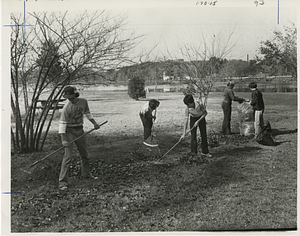 Kids cleaning up Sheehy Park in Lowell