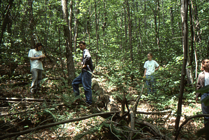 Hayscented Fern Study. 2. Left to right: Andrew Werbrock (Class of 2000), Philip Bartels (Mt. Greylock Regional H.S.), Jessica Tierney (Pittsfield H.S.) and Paola Peacock (Mt. Greylock Regional H.S.) and near Taconic Crest.