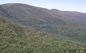 Aerial oblique view of Moon Hollow on 28 May 1972 in the Hopkins Forest.