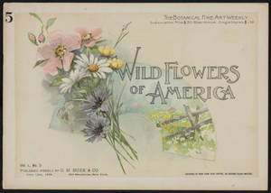 Wild flowers of America : flowers of every state in the American Union. Vol. 1., No. 05