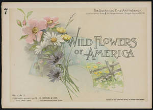 Wild flowers of America : flowers of every state in the American Union. Vol. 1., No. 07