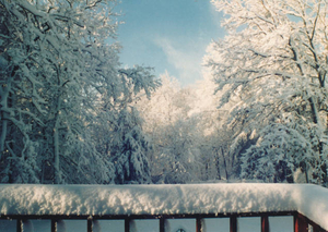 Backyard winter wonderland