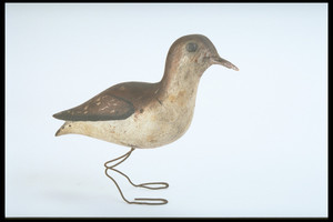 Shorebird Decoy