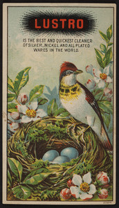 Trade card for Lustro, metal cleaner, Lustro Company, location unknown, undated