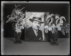 Walter Winchell with orchid display: portrait of Winchell set between orchids (Dendrobium sp. and Cattleya labiata, l. to r.)
