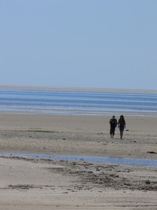 Couple walking on the beach at low tide, Wellfleet Bay Wildlife Sanctuary