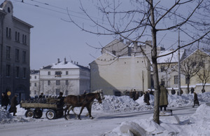 Horse-drawn cart in Belgrade