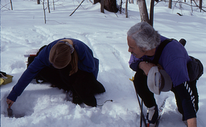 ENVI 102 - Introduction to Environmental Science laboratory. Aya Reiss (Class of 2000) taking snow sample in the Hopkins Forest as Prof. David Dethier looks on.