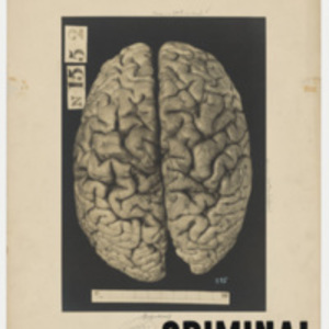 Poster of a criminal brain