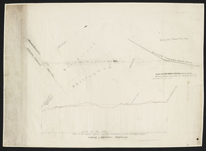 Plan and profile of a proposed Bellingham branch railroad