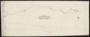 Plan of a proposed railroad from Hopkinton to Milford / William F. Ellis, engineer.