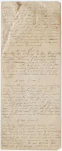 Nelson brothers diary fragment