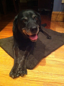 Our girl, Gracie