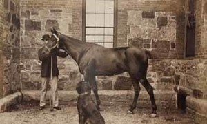 Brooks Adams with horse and dog