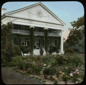 Rose Garden, Thompsonville, Georgia. Estate of harry Payne Whitney (Formal mansion with vine covered columns and porch work)