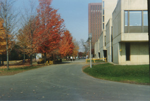 Campus Views, Roads and Walks 1920-1989