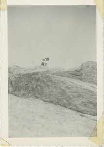 Bernice Kahn waving from behind rocks
