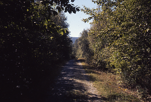 Upper Loop Trail.