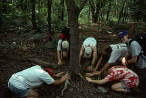 Last day of Permanent Plot Survey III. Permanent Plotters "pay homage" to the Norman E. Borlaug effigy on the Taconic Crest Trail after they completed the last of the permanent plot surveys in this census. Left to right (counter clockwise): Amy Smith, Charles Wall, Tim Billo (all Class of 1997), Ben Montgomery (Class of 1998), Dawn Biehler (in tie-dye shirt), and Susan Halbach (in purple baseball cap) (both Class of 1997).