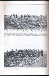 Town residents helping to harvest my grandfather's turnips