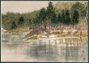 Boat Meadow Creek