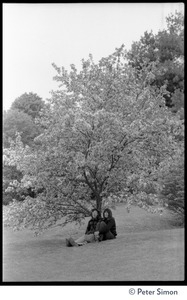 Couple seated under an apple tree in bloom, Rowe Center spiritual retreat