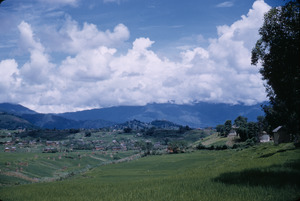 Farmland in Kathmandu Valley