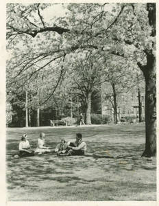 Four students sitting under a tree at Springfield College, ca. 1968