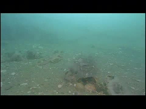 Outdoors Maryland; Wreck Diving in Ocean City