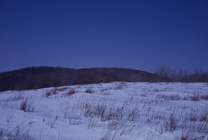 Panorama to the East, Jim Smith Hill, Taconic Crest. Image 2. View to north-northwest.