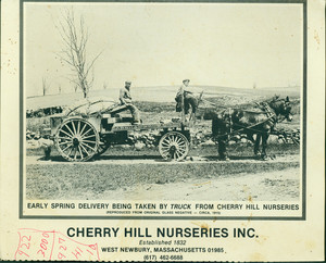 Advertisement for Cherry Hill Nurseries, West Newbury, Mass., undated