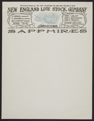 Letterhead for the New England Live Stock Company, Lynn, Mass., undated
