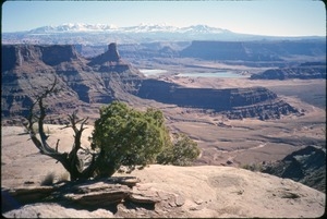 Canyon, mesas, and mountains in the distance
