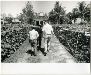 David Entin walking through a vineyard