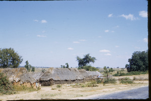 Landscape around a village near Chennai