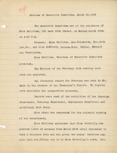 Meeting Minutes of the Executive Committee of the Institute for Crippled and Disabled Men