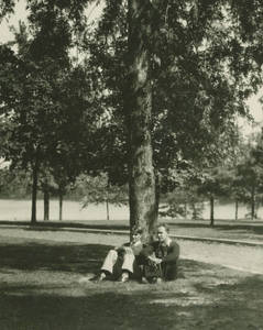 Two students sitting under a tree at Springfield College