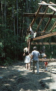 Sugar maple (Acer saccharum) branch being handed to Henry Art at south end of barn frame at the Moon Barn Raising at entrance to Hopkins Forest on 2 August 1975.