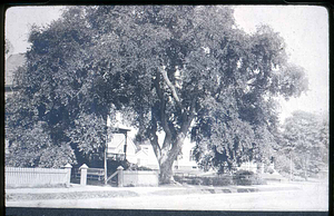 Putnam Home, Cliftondale, Elm Tree, Essex & Putnam Street