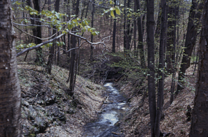 Ford Glen Brook downstream from Northwest Hill Road bridge.