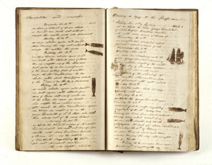 Whaling journal in Mariner's Room, Beauport, Sleeper-McCann House, Gloucester, Mass.