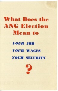 What does the ANG election mean to your job, you wages, your security?