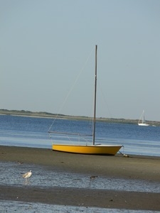 Yellow sailboat hauled onto a mudflat at low tide