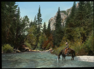 Kings River Canyon (horse with rider drinking in woodland stream)