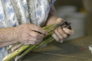 Hibbard Farm: close-up of a woman's hands while bunching asparagus