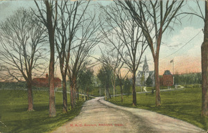 M.A.C. Avenue, Amherst, Mass.