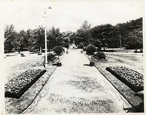 Path in Boston Public Garden