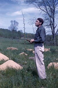 Frank E. Cunningham making observations on Hybrid poplars Planted in Spring, 1954 Rooted with no mulch.